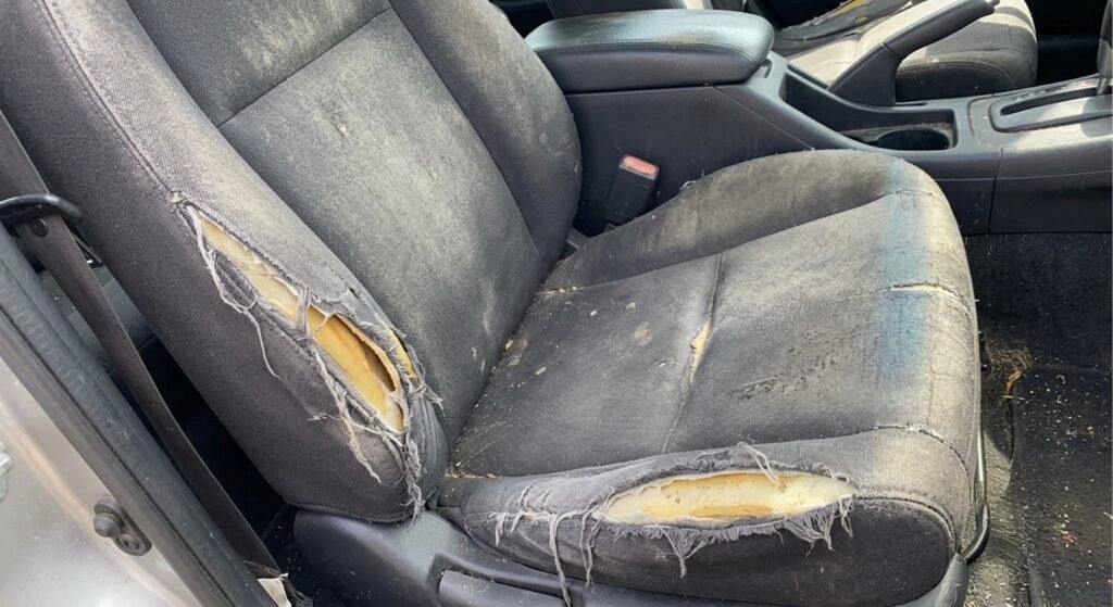 car-seat-cover-tore