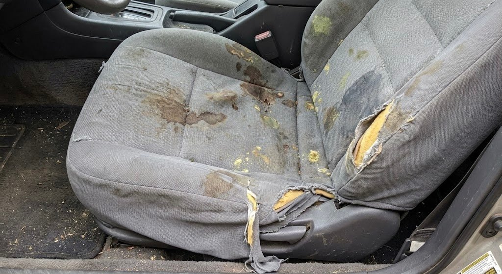 loose-seat-cover